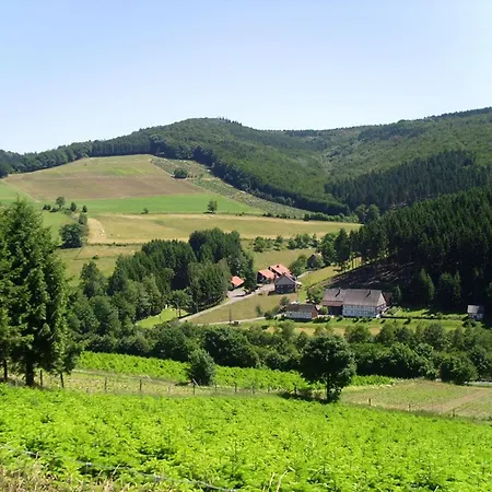 Mit Herrlicher Aussicht Hébergement de vacances *